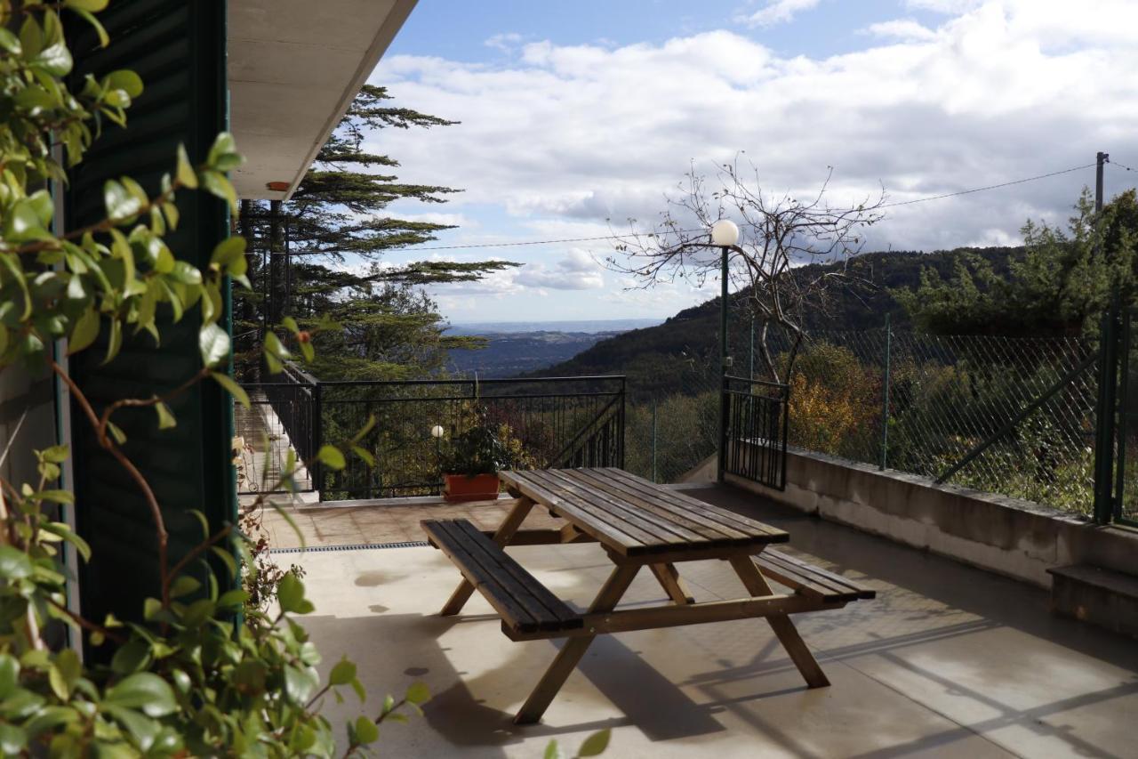 Holiday home Lupus Domum Pretoro